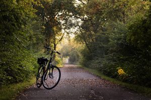 Bike sitting on trail