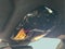 2026 BMW M5 Base