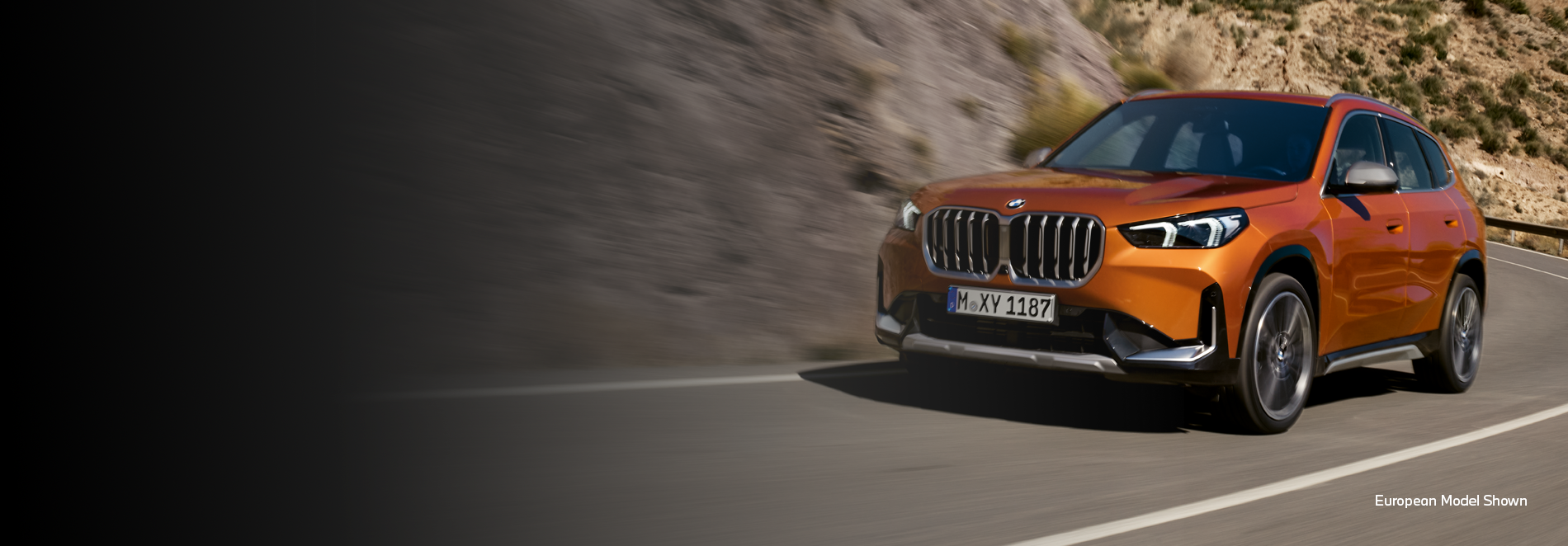 An Overview of the 2023 BMW iX – Tom Bush BMW Orange Park Blog